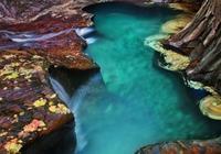 Emerald medence Subway, Zion Nemzetu Park, Utah